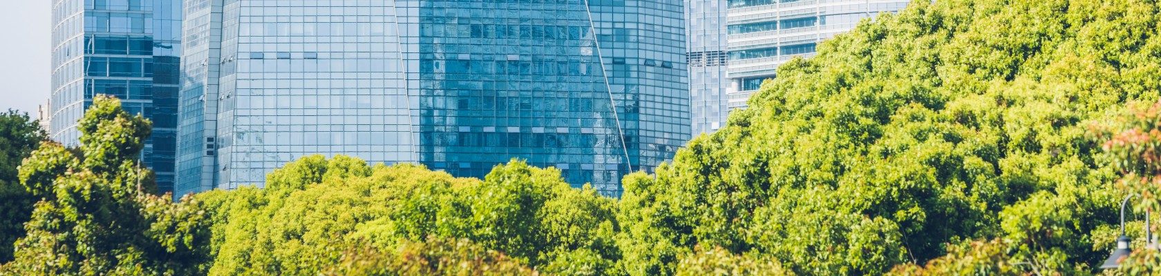 Sustainable Finance